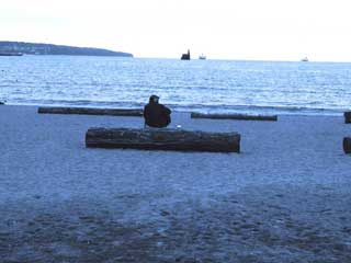 Glen at English Bay