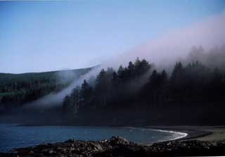 Sooke Morning Mist